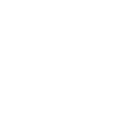 Consulting Services